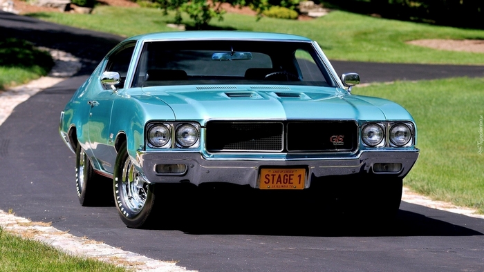 Vintage Buick Muscle Car on Scenic Driveway