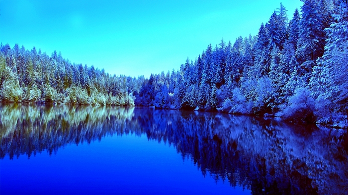 Snow-covered forest reflected in a lake