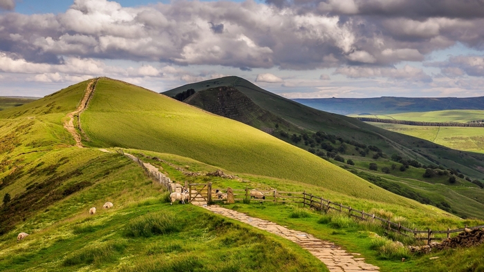 Sheep grazing on a grassy hill with a stone path and wooden fence