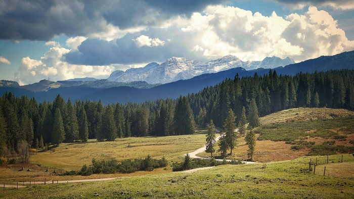 Serene Mountain Landscape with Forest and Winding Road
