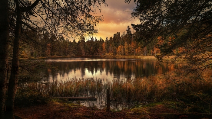 Serene Autumn Sunrise Over Forest Lake