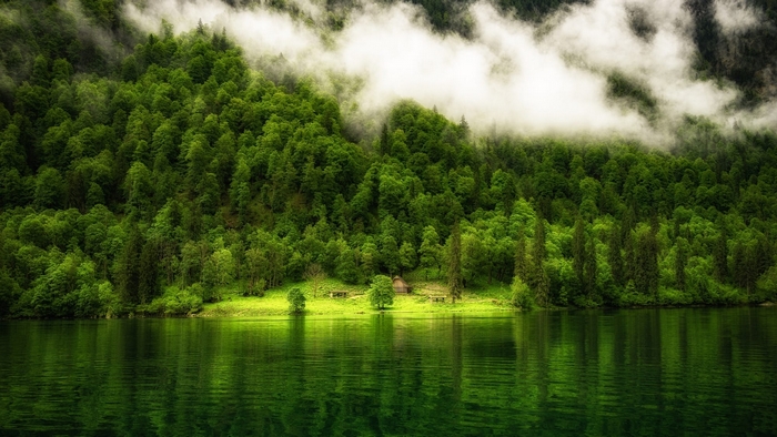 Misty forest reflected in a lake