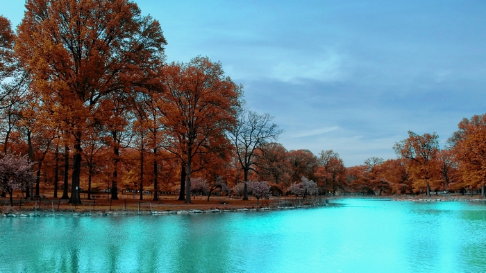 Turquoise Lake Among Autumn Trees