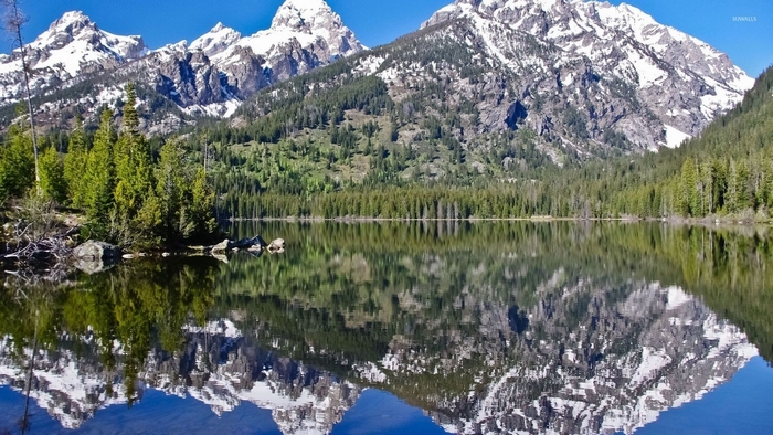 Snow-capped mountains reflected in a calm lake with pine trees
