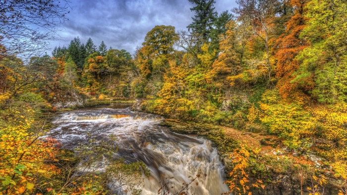 Autumn forest with a river and waterfall