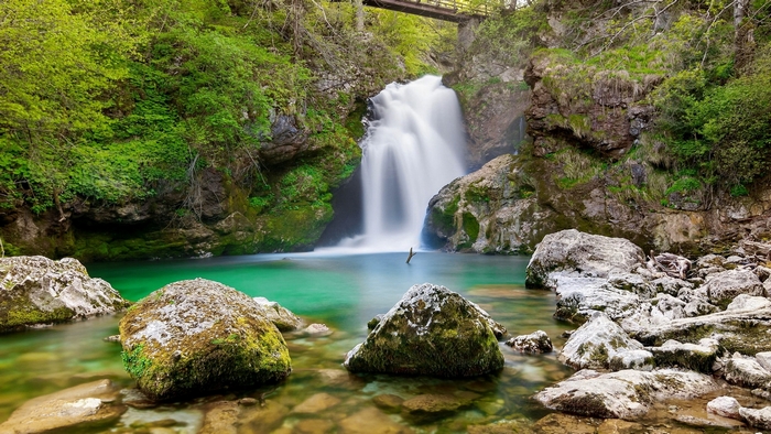 Waterfall in a lush green forest with rocks