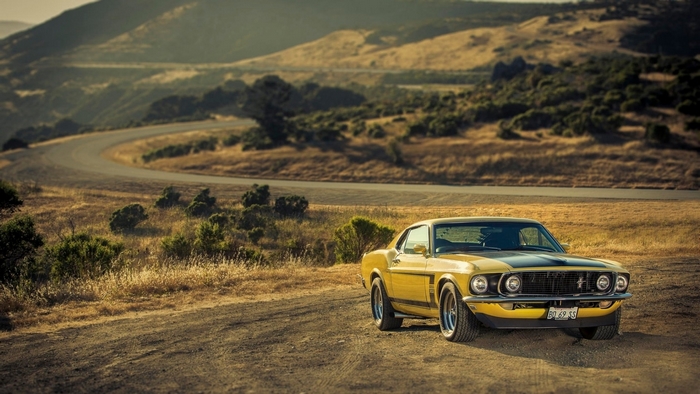 Yellow Ford Mustang Boss on Country Road