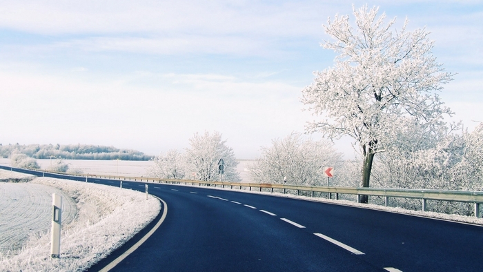 Winter Road with Snow-Covered Trees