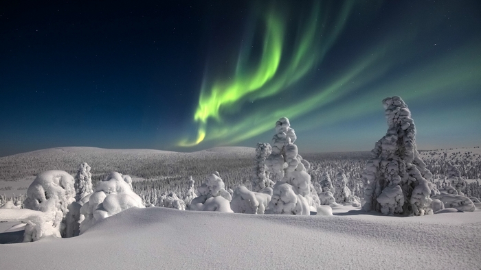 Aurora Borealis Over Snowy Forest in Finland