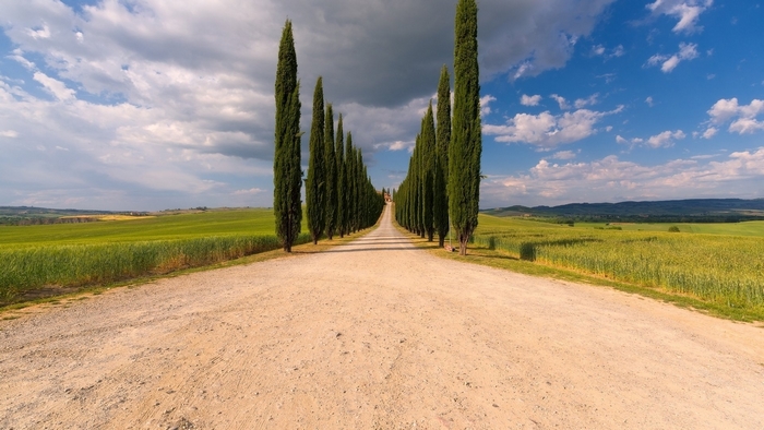 Scenic Cypress-Lined Road Through Italian Countryside