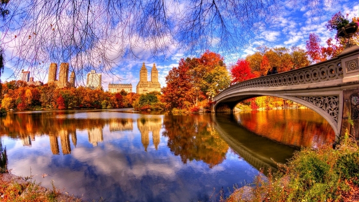 Autumn Bridge and Lake Reflection in a City Park