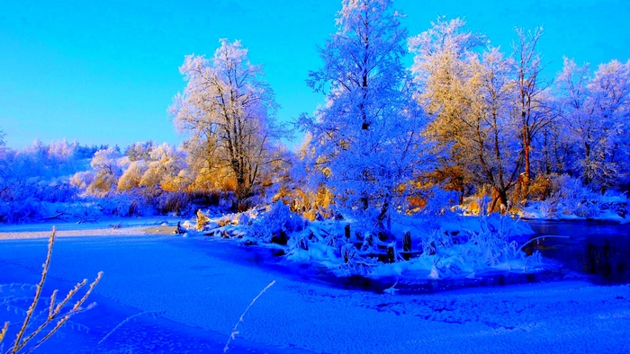 Winter landscape with frosted trees and a frozen river
