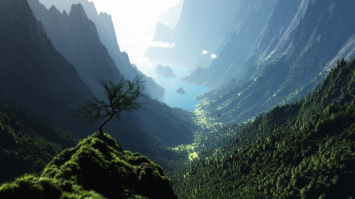 A lone tree on a grassy peak overlooking a mountain valley and lake