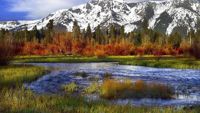 Snow-capped mountain overlooking autumn trees and a river