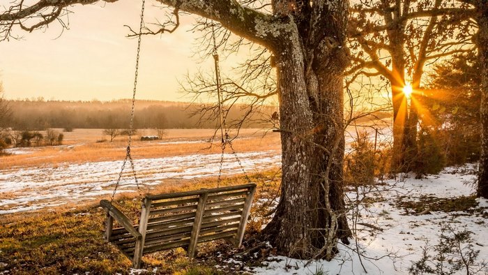 Wooden swing hanging from a tree at sunset with snow