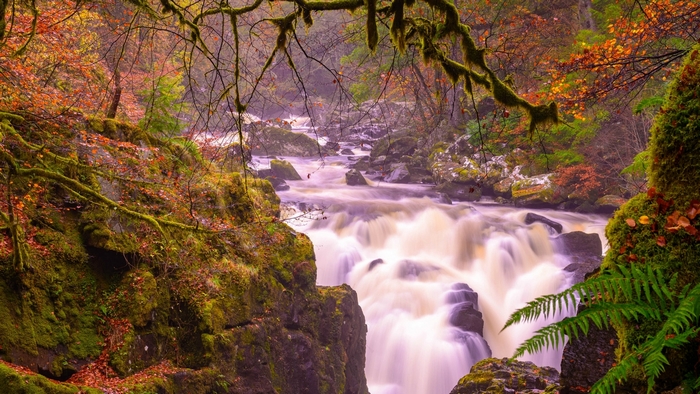 Waterfall in a mossy forest during autumn