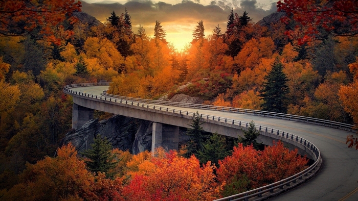 Curving road through autumn forest at sunset