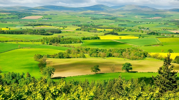 Rolling green hills and fields under a cloudy sky
