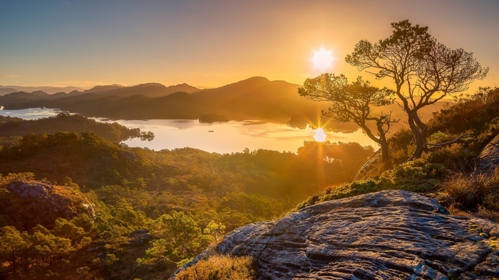Sunrise over mountains and lakes with a tree in the foreground