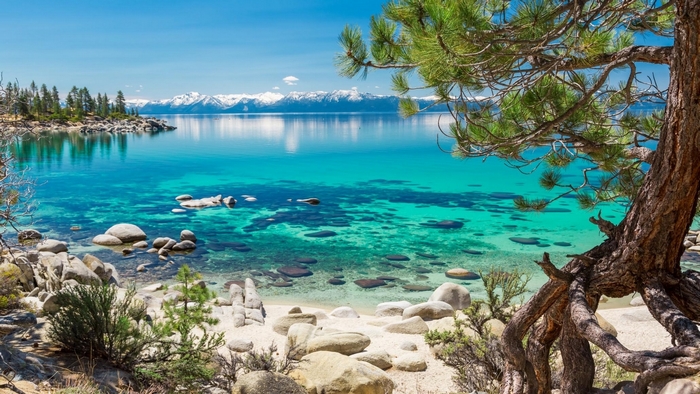 Crystal clear lake with rocky shore and pine tree