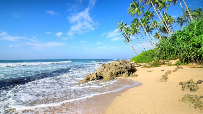 Tropical beach with palm trees and ocean waves