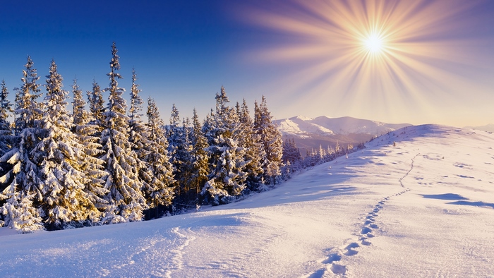 Snowy forest landscape with sun and mountains