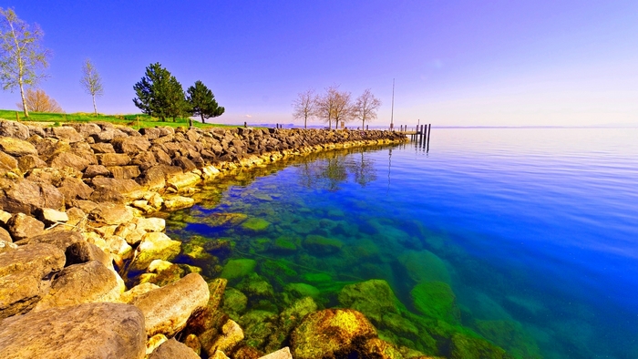 Rocky shore with clear blue water and trees