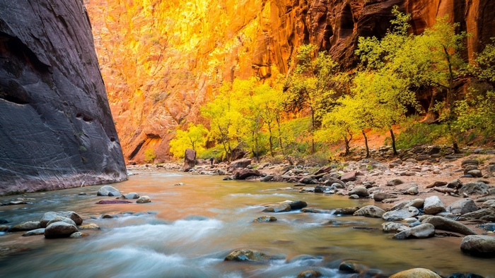 Autumn trees and river in a canyon