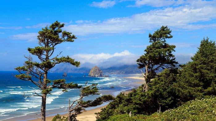 Oregon Coastline with Haystack Rock and Trees