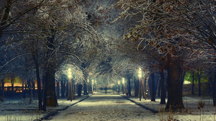 Snowy park path at night with streetlights