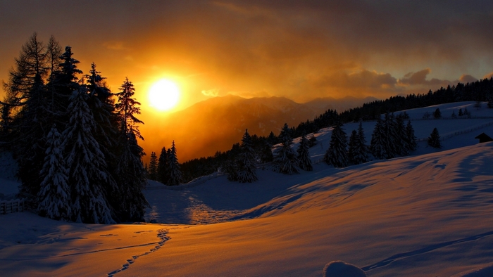 Winter sunset over snowy mountains and pine trees