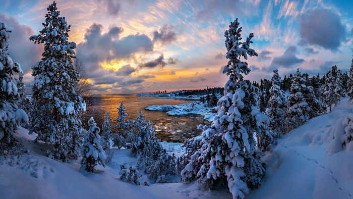 Snow-covered trees by a lake at sunset