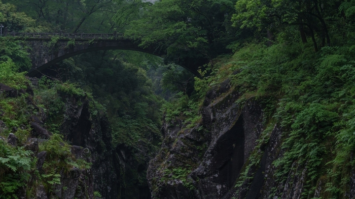 Stone bridge over a green canyon with trees