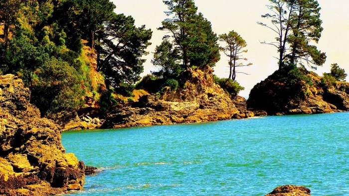 Rocky coastline with turquoise water and trees
