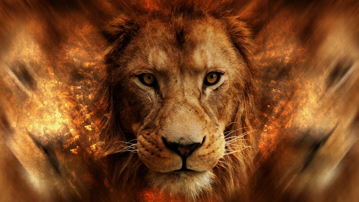 Close-up of a lion's face with fiery background