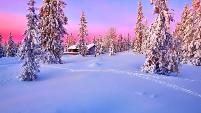 Snowy forest with a cabin at sunset
