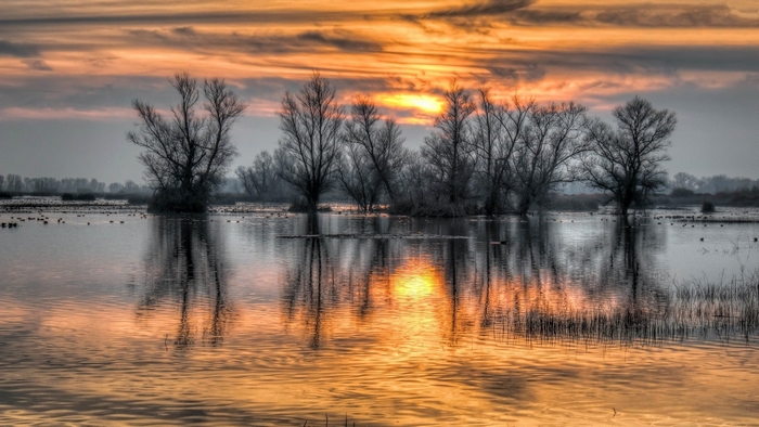 Sunset over flooded trees with reflections
