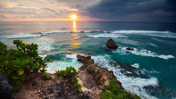 Sunset over the ocean with rocky coast and green foliage