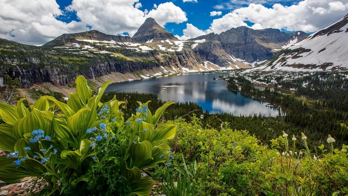 Lake and Mountains with Wildflowers