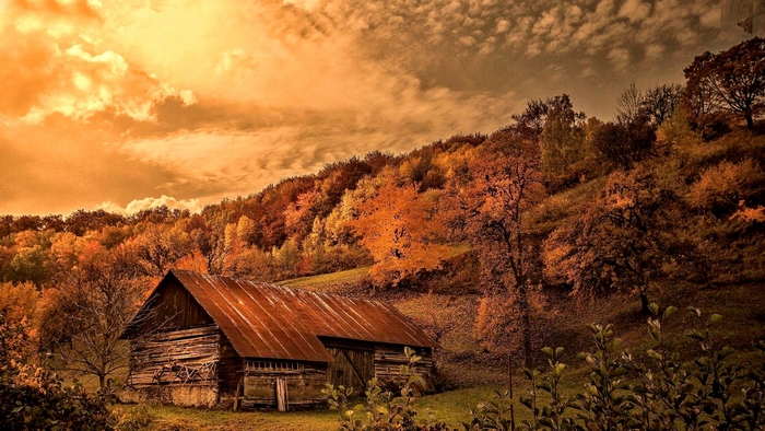 Rustic barn in autumn forest