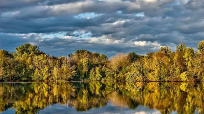 Autumn forest reflected in a lake under cloudy sky
