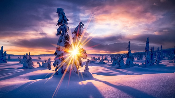 Snowy trees at sunset with sunburst