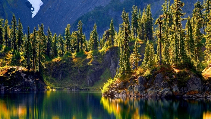 Forest lake with reflections and mountains