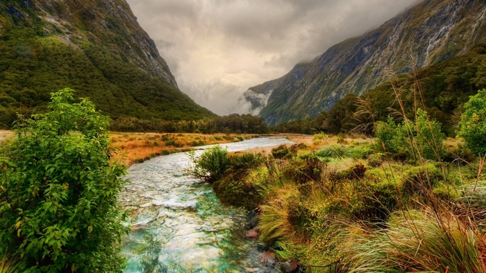 River flowing through a valley in New Zealand