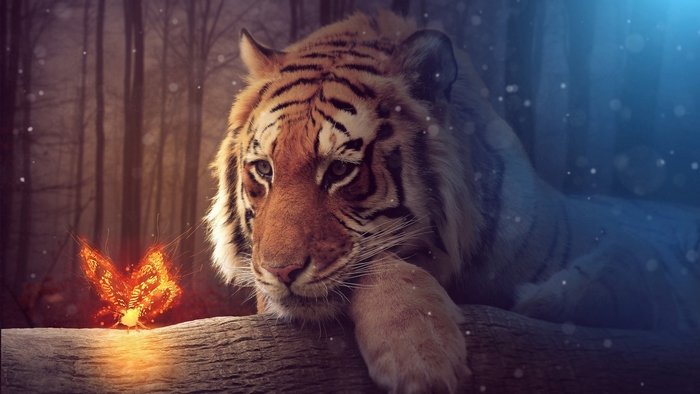 Tiger and glowing butterfly in a forest