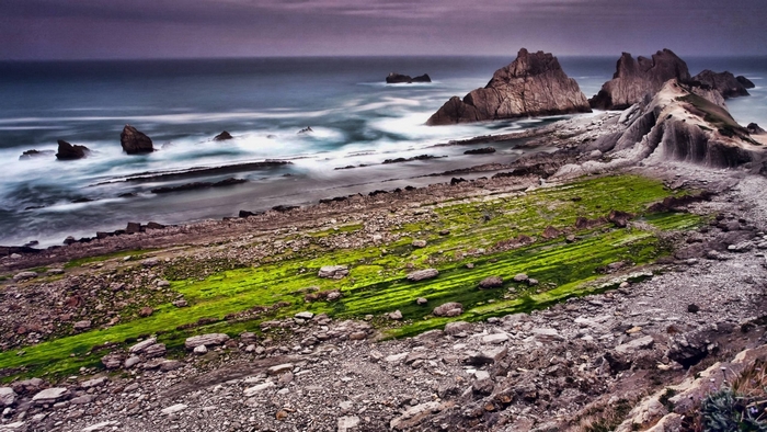 Rocky coastline with green algae and ocean waves