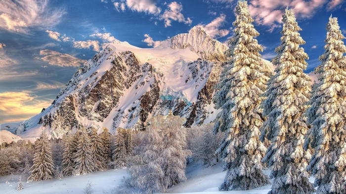 Snow-covered mountain and forest under a cloudy sky