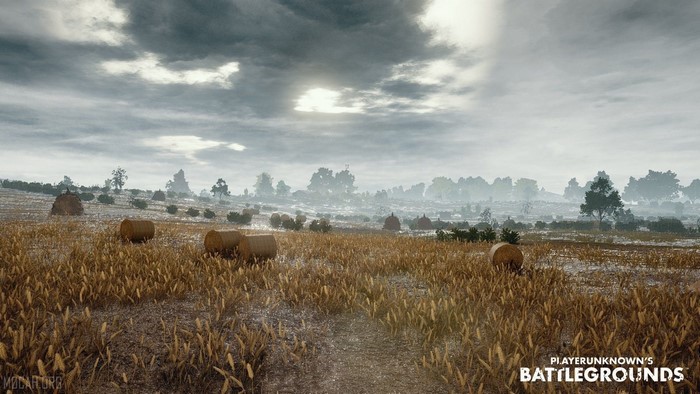 PlayerUnknown's Battlegrounds field with hay bales