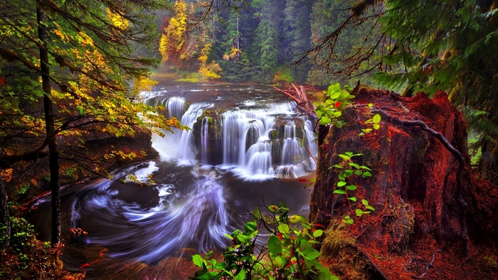 Waterfall in a colorful autumn forest with a tree stump