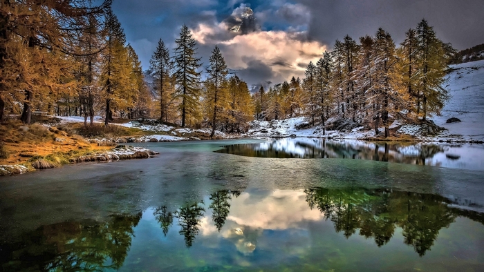 Lake and trees in winter with snow